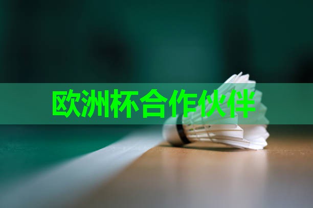 ⚽️2024欧洲杯公司⚽️：瑜伽房有哪些器材