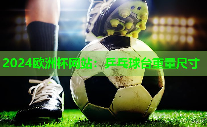 乒乓球台重量尺寸 乒乓球台重量尺寸