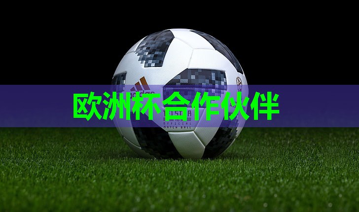 乒乓球台台胶 乒乓球台台胶