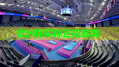 胸肌器材 胸肌器材
