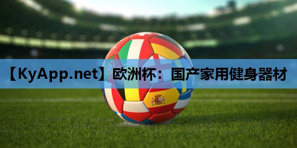 国产家用健身器材 国产家用健身器材