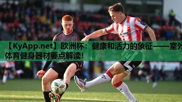 健康和活力的象征——室外体育健身器材要点解读! 健康和活力的象征——室外体育健身器材要点解读!