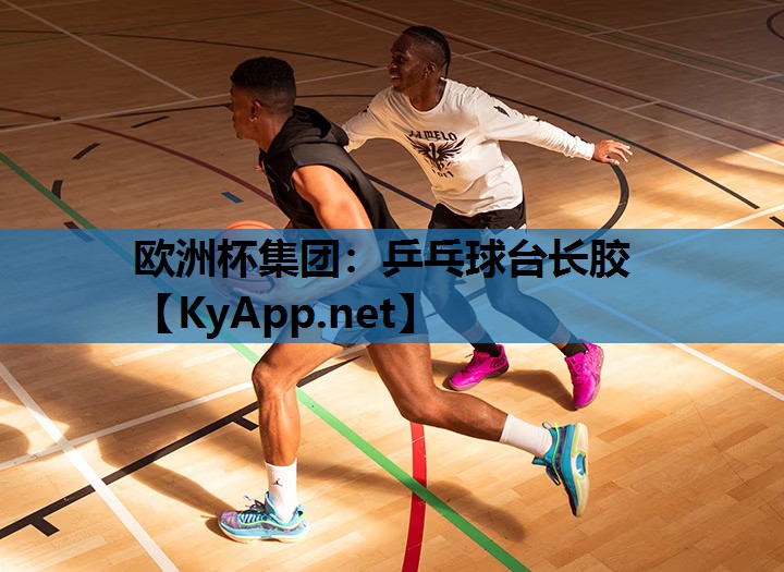 乒乓球台长胶 乒乓球台长胶
