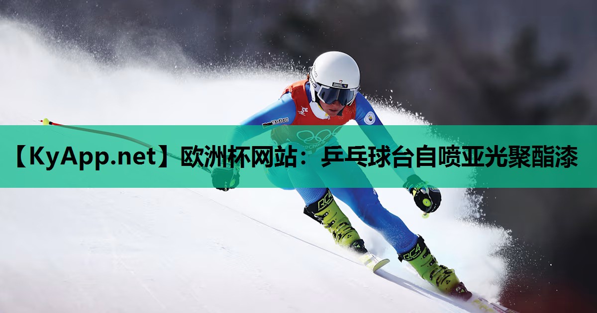乒乓球台自喷亚光聚酯漆 乒乓球台自喷亚光聚酯漆
