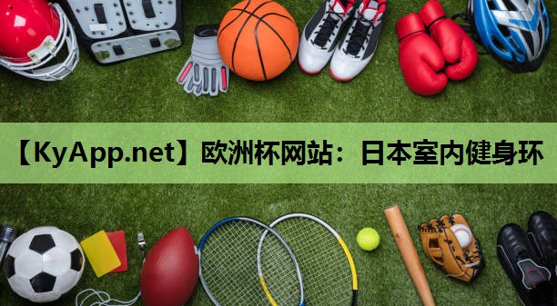 日本室内健身环 日本室内健身环