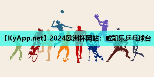 威凯乐乒乓球台 威凯乐乒乓球台