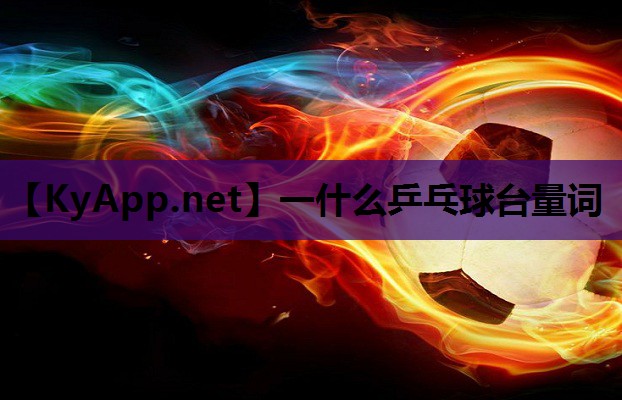 一什么乒乓球台量词 一什么乒乓球台量词
