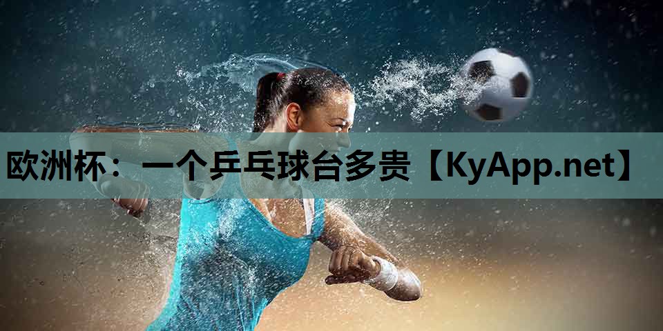 一个乒乓球台多贵 一个乒乓球台多贵