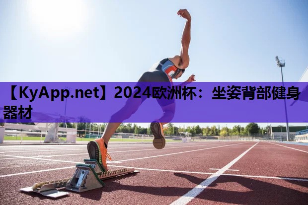 坐姿背部健身器材 坐姿背部健身器材