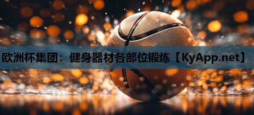 健身器材各部位锻炼 健身器材各部位锻炼