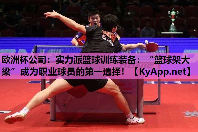 实力派篮球训练装备:“篮球架大梁”成为职业球员的第一选择! 实力派篮球训练装备:“篮球架大梁”成为职业球员的第一选择!