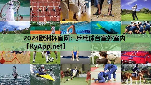 乒乓球台室外室内 乒乓球台室外室内