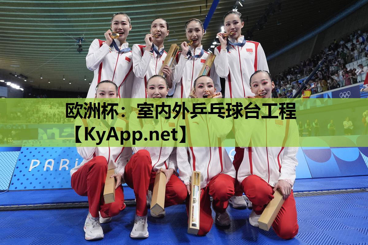 室内外乒乓球台工程 室内外乒乓球台工程