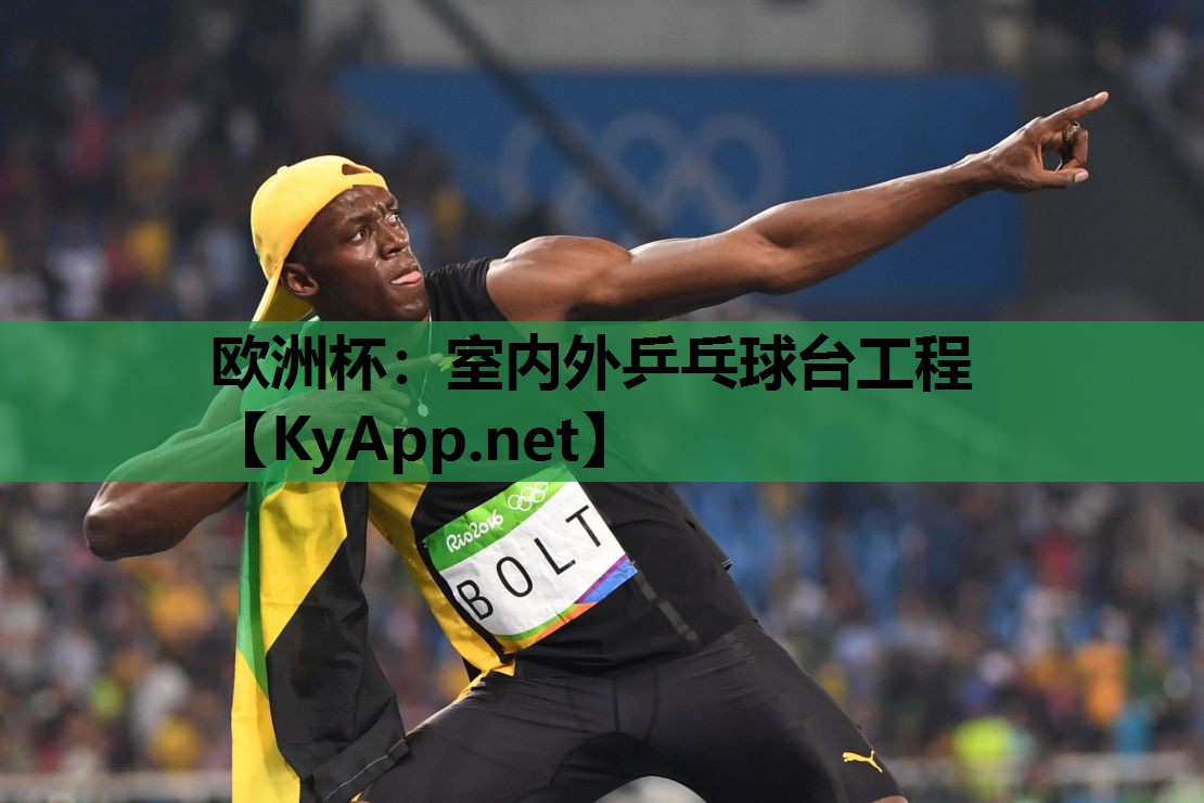 室内外乒乓球台工程 室内外乒乓球台工程