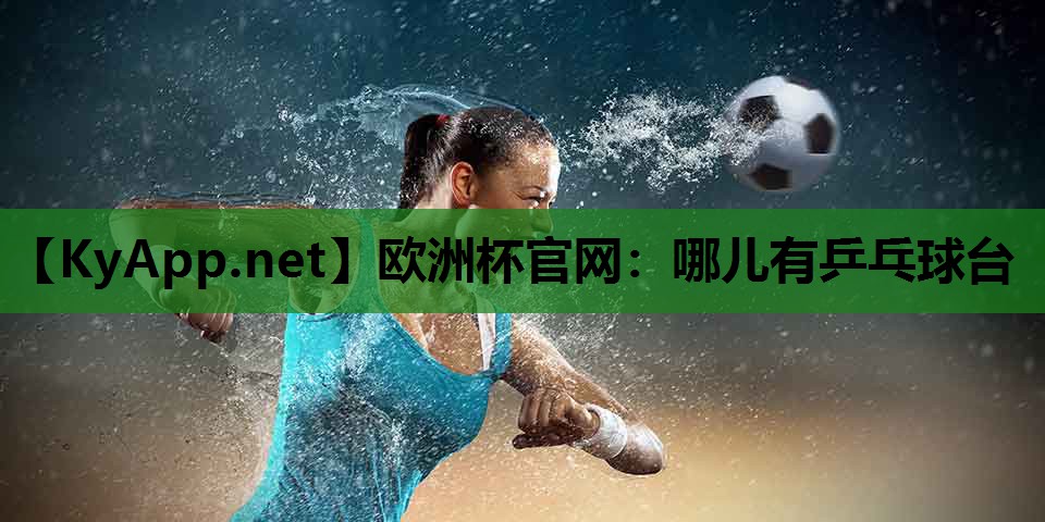 哪儿有乒乓球台 哪儿有乒乓球台