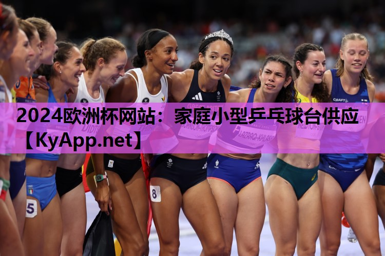 家庭小型乒乓球台供应 家庭小型乒乓球台供应