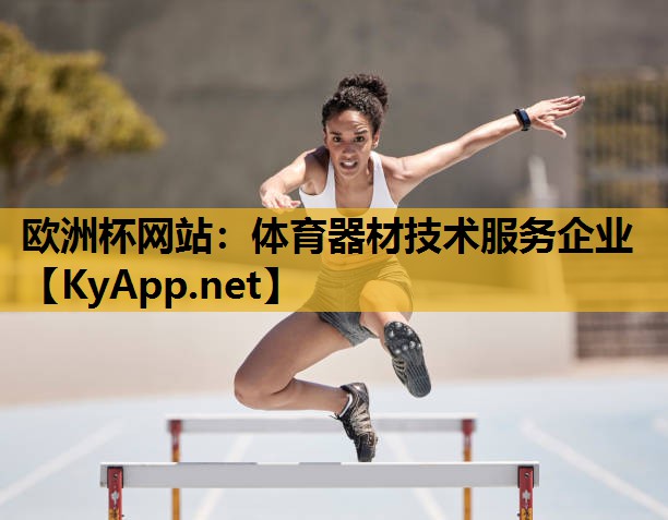 体育器材技术服务企业