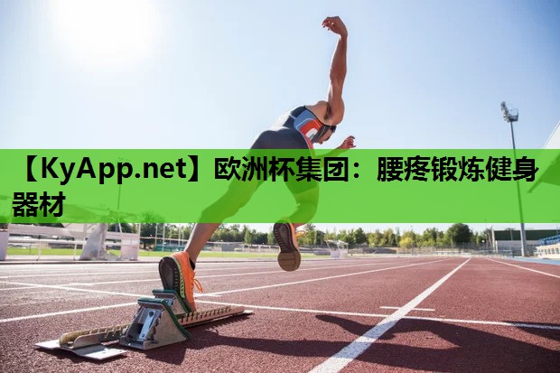 腰疼锻炼健身器材 腰疼锻炼健身器材