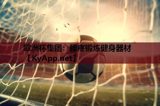 腰疼锻炼健身器材 腰疼锻炼健身器材