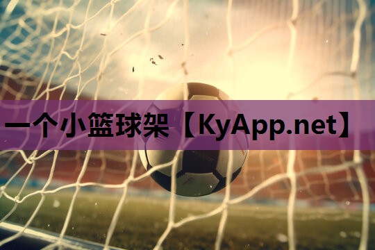 一个小篮球架 一个小篮球架