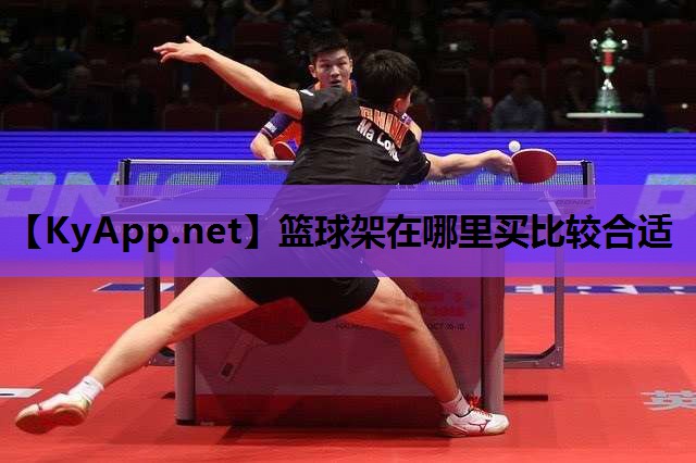 篮球架在哪里买比较合适 篮球架在哪里买比较合适