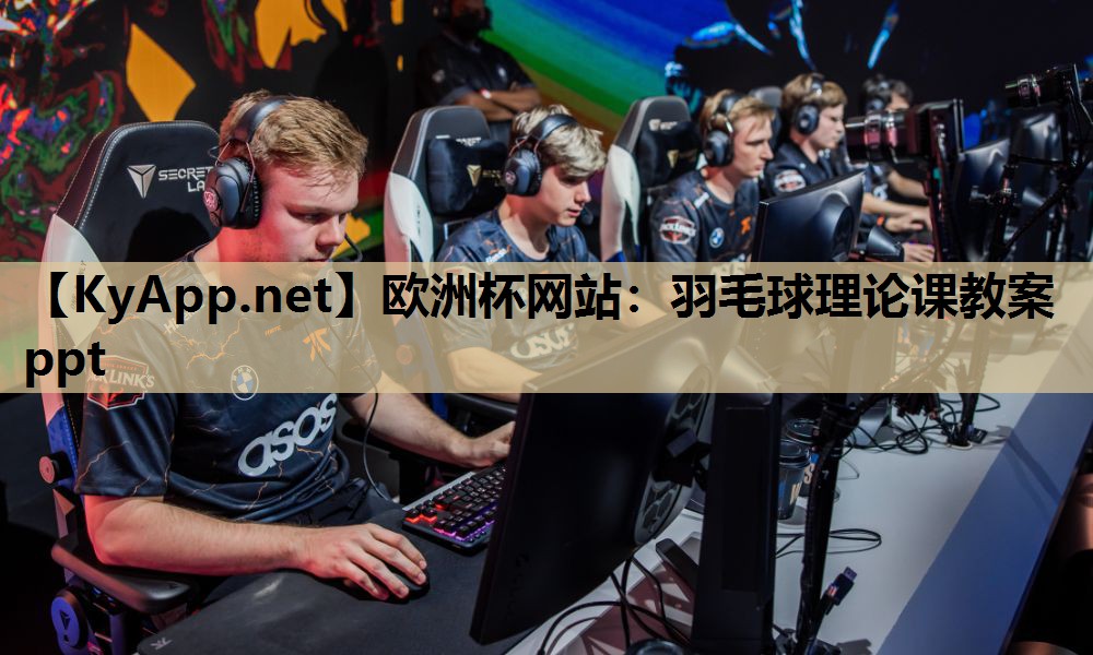 羽毛球理论课教案ppt