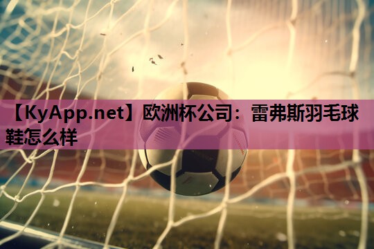 雷弗斯羽毛球鞋怎么样